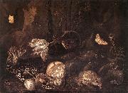SCHRIECK, Otto Marseus van Still-Life with Insects and Amphibians ar oil painting on canvas